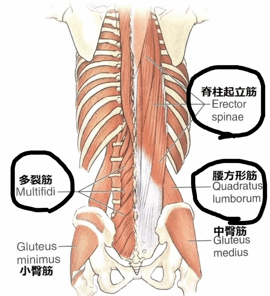 画像に alt 属性が指定されていません。ファイル名: image-3-935x1024.png