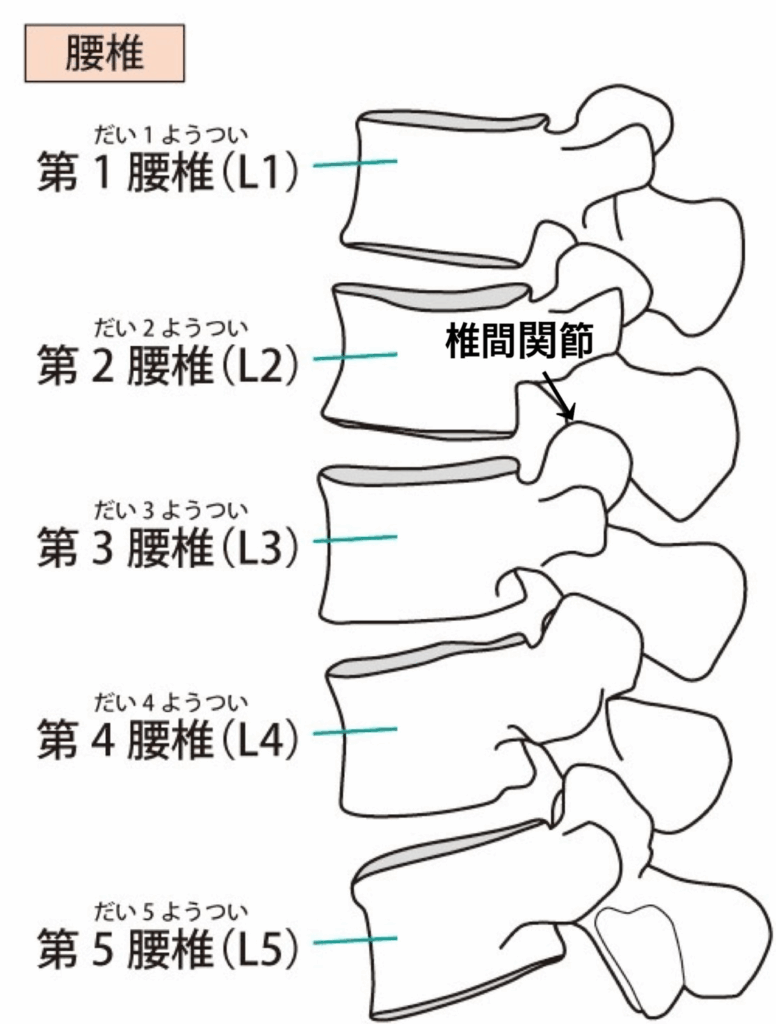 画像に alt 属性が指定されていません。ファイル名: image-4-776x1024.png